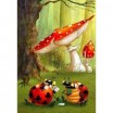 Puzzle 204p Ruyer Poker des Coccinelles